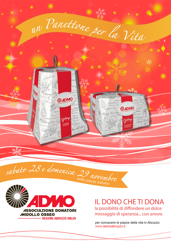 UN PANETTONE PER LA VITA - 2015